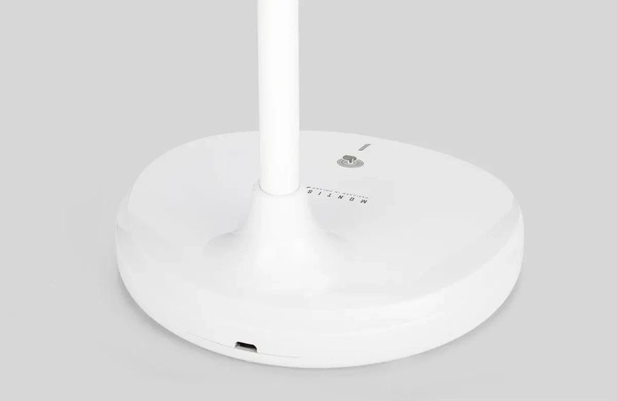 Настільна акумуляторна LED лампа MT044 2657988191 фото